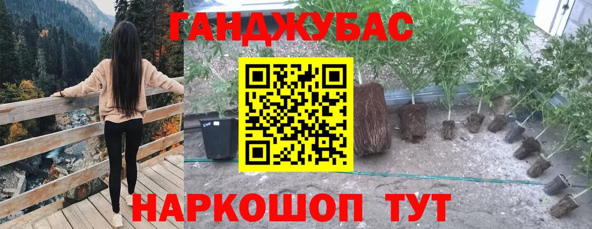 Канабис VHQ  Канабис семена  Бошки Шишки тримм  Саяногорск  Вход с VPN  Конопля OG Kush 